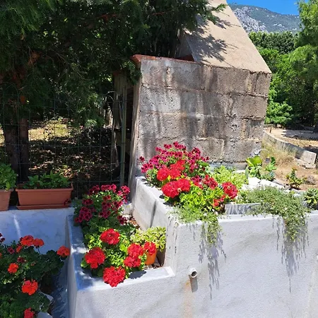 Domus De Mare Lejlighed *